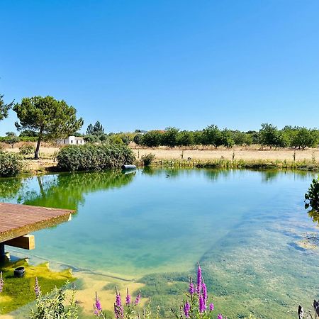 Glamping On Organic Yoga Farm With Natural Swimming Pool Near Beach 몬카라파초 외부 사진