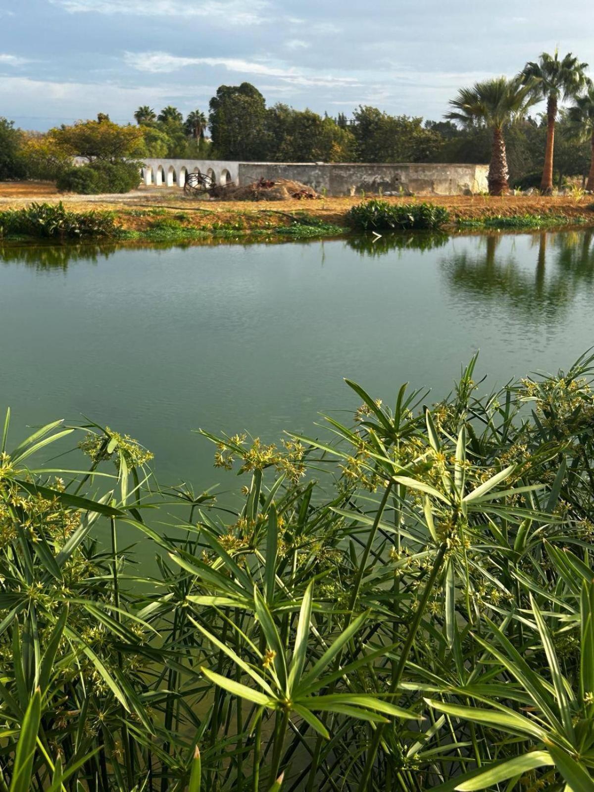Glamping On Organic Yoga Farm With Natural Swimming Pool Near Beach 몬카라파초 외부 사진