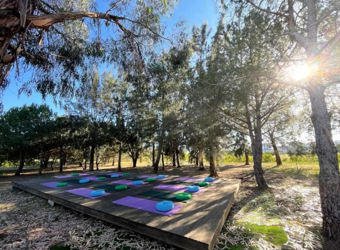 Glamping On Organic Yoga Farm With Natural Swimming Pool Near Beach 몬카라파초 외부 사진