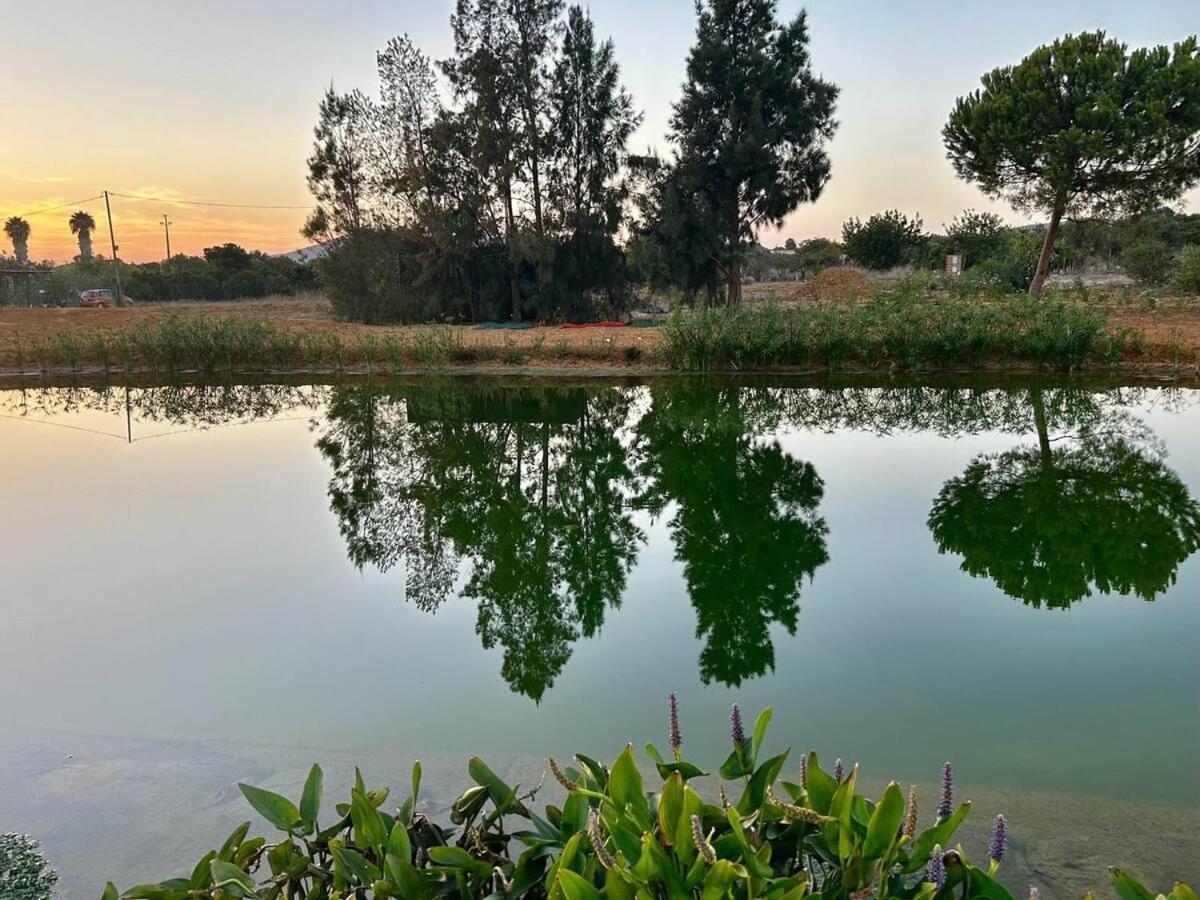 Glamping On Organic Yoga Farm With Natural Swimming Pool Near Beach 몬카라파초 외부 사진