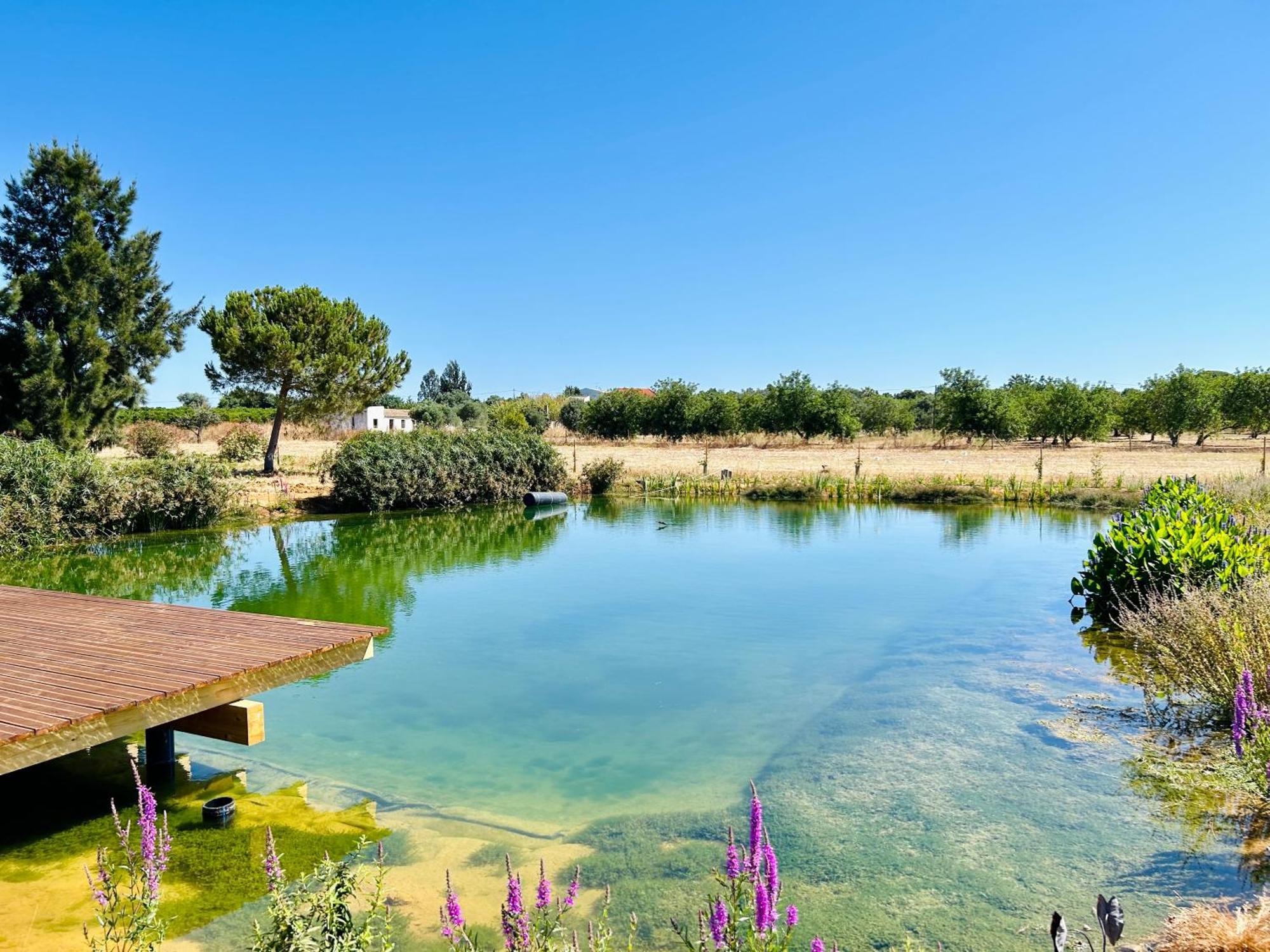 Glamping On Organic Yoga Farm With Natural Swimming Pool Near Beach 몬카라파초 외부 사진